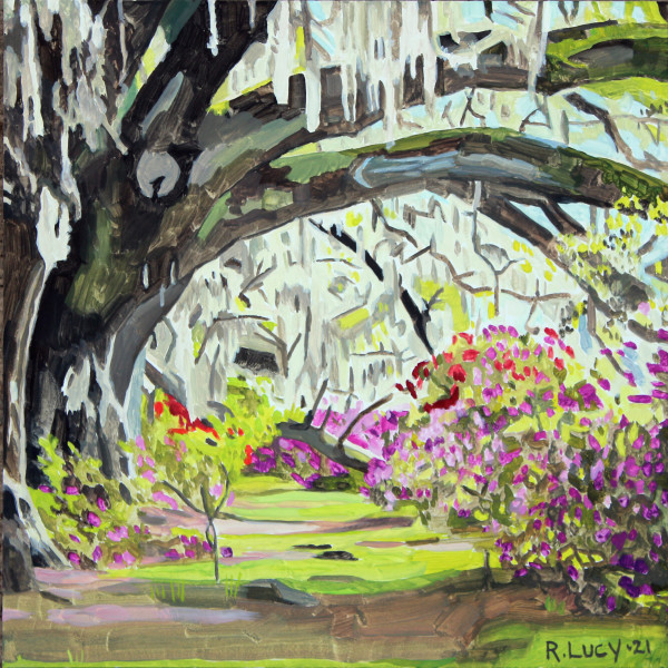 Charleston Trees
