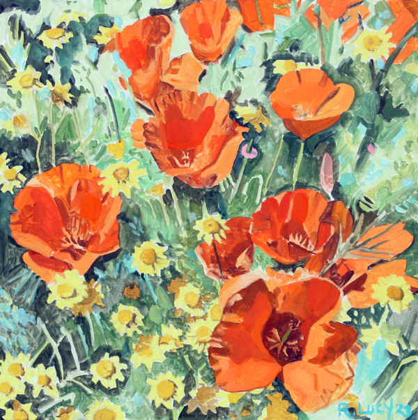 Lancaster Poppies by Robert Lucy