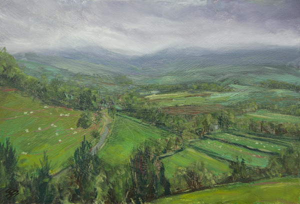 Quiet encounter by Sarah Jane Brown, Image 1.