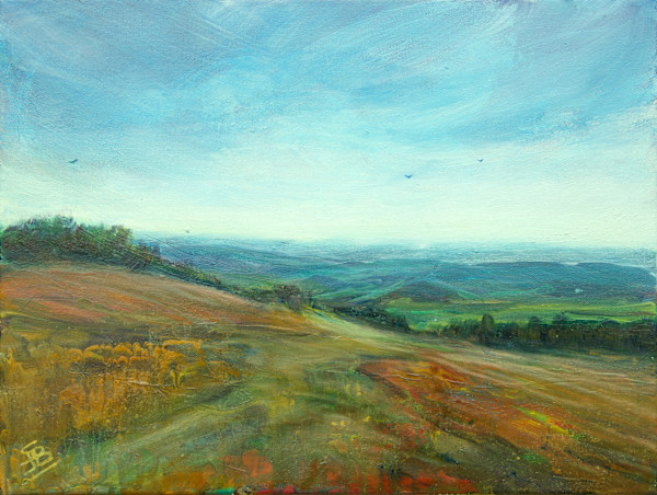 Stitching the sky by Sarah Jane Brown