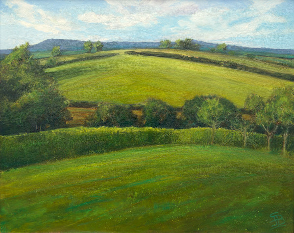 Afternoon reset by Sarah Jane Brown