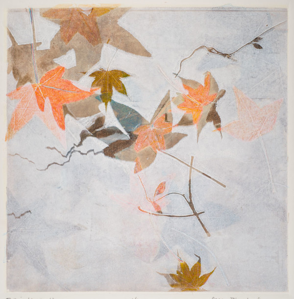 Falling Leaves 12 by Casey Blanchard