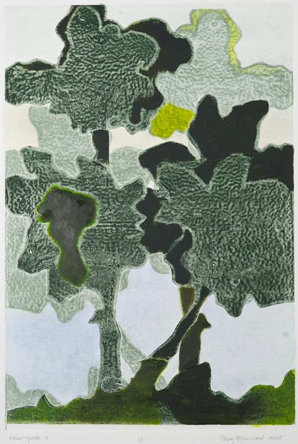 Plant Speak 12 by Casey Blanchard