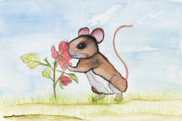 A curious Little Field Mouse
