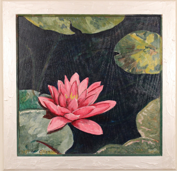 Water Lily