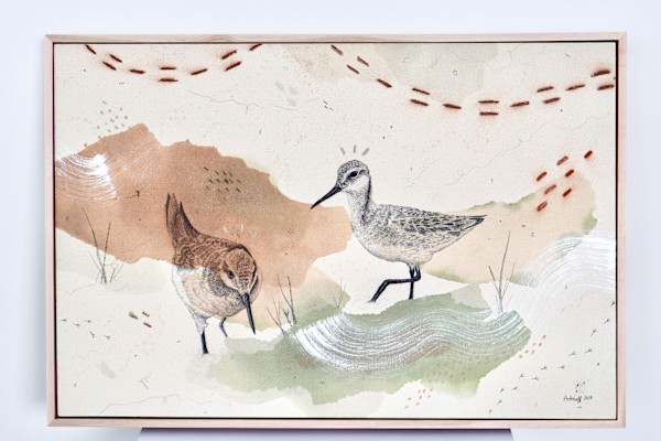 Wilson’s Phalaropes Put a Spin on It by Alicia Hauff Studio