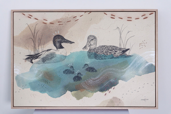 Northern Shoveler, Filter Feeding Champion by Alicia Hauff Studio