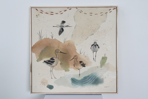 American Avocet, Aristocrat on Stilts by Alicia Hauff Studio
