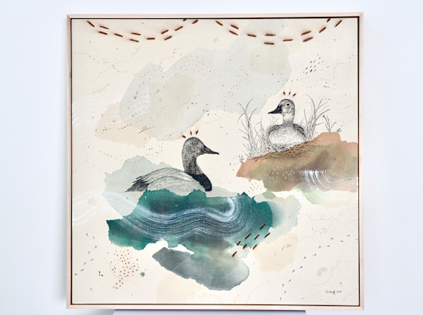 Canvasback, Regal Diver by Alicia Hauff Studio