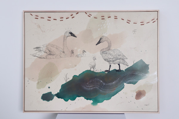 Trumpeter Swan, Big Love on the Lake by Alicia Hauff Studio