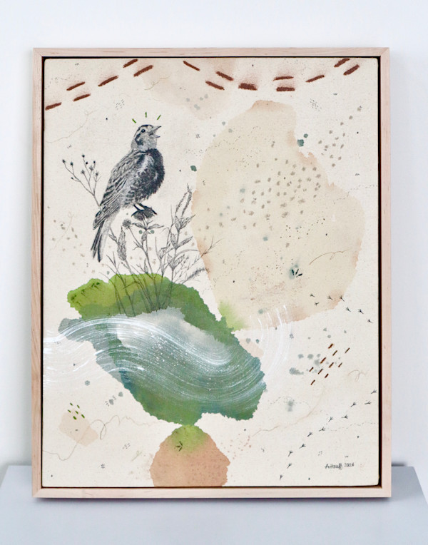 Chestnut Collared Longspur, Warbling in the Shortgrass by Alicia Hauff Studio