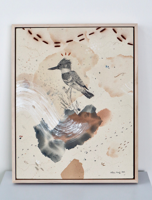 Belted Kingfisher, Dive, Rattle and Roll by Alicia Hauff Studio