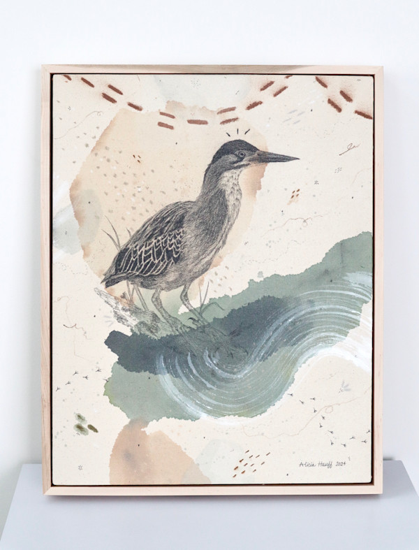 Green Heron, Luring at the Water's Edge by Alicia Hauff Studio