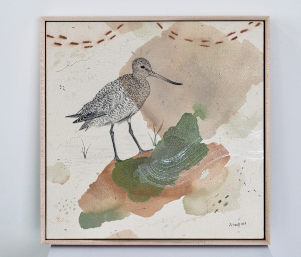 Marbled Godwit, Tubular Migrant by Alicia Hauff Studio