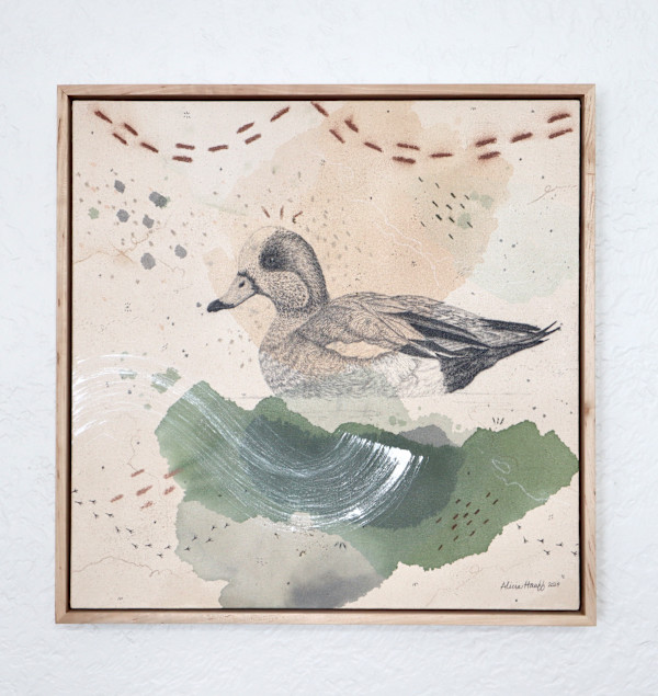 "American Wigeon, Dabbling With Pizazz" by Alicia Hauff Studio
