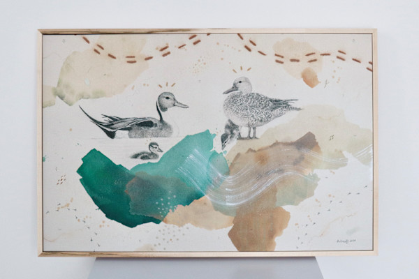 Northern Pintails Canvas Print by Alicia Hauff Studio