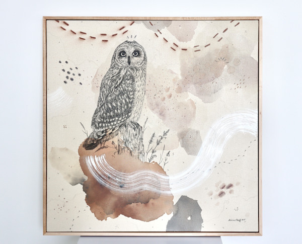 Short-Eared Owl, Open-Country Acrobat by Alicia Hauff Studio