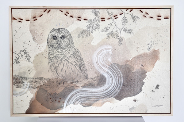 Barred Owl Hoots for You All by Alicia Hauff Studio