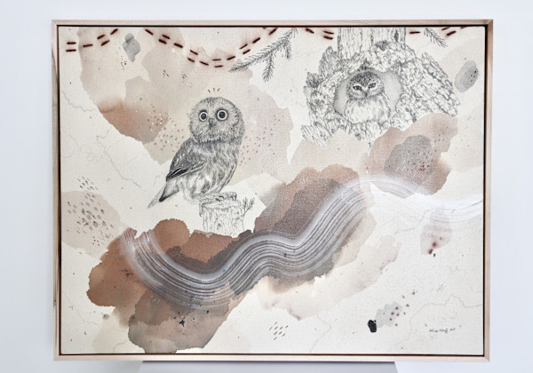 Northern Saw-Whet Owl, Cute With an Attitude by Alicia Hauff Studio