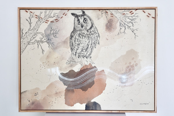 Long-Eared Owl is All Ears by Alicia Hauff Studio