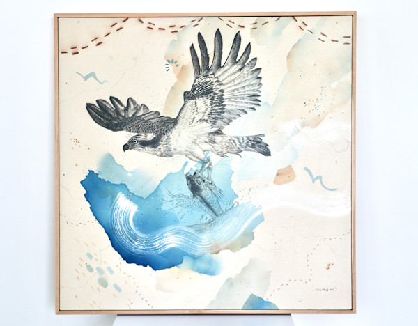 "Osprey Takes the Plunge" by Alicia Hauff Studio
