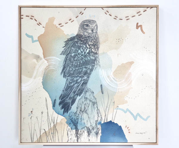 "Northern Harrier, Low Gliding Guide" by Alicia Hauff Studio