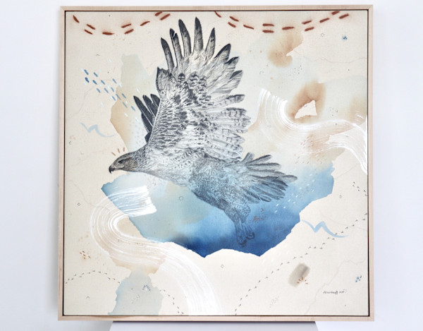"Ferruginous Hawk, Open Country Guide" by Alicia Hauff Studio