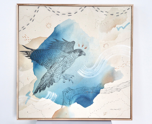 "Peregrine Falcon, Flying Ace" by Alicia Hauff Studio