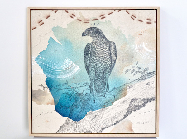 "American Goshawk, Baron of the Backwoods" by Alicia Hauff Studio