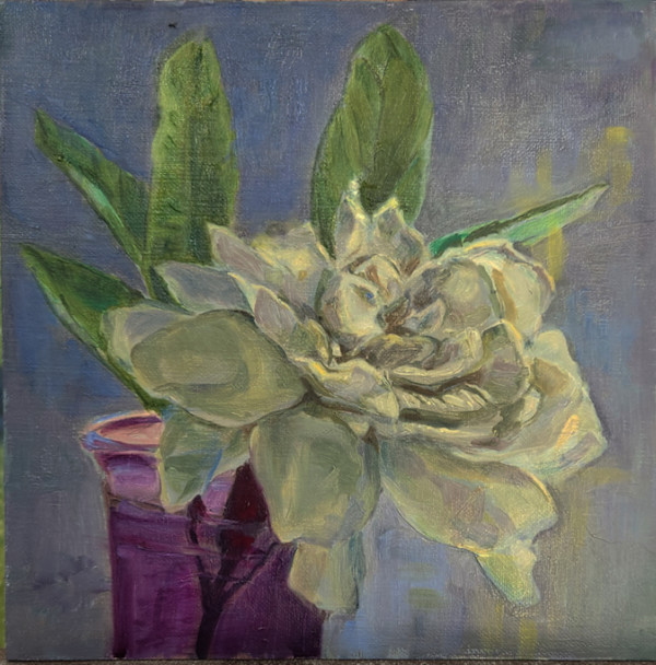 Shadowed Gardenia by Katherine Kean