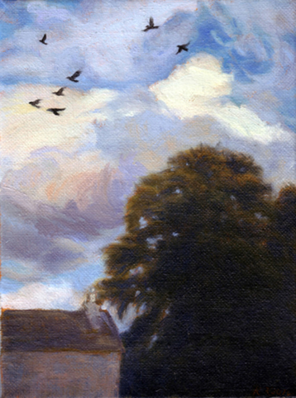 Sky Gazing Behind Lindsaylands by Katherine Kean