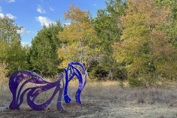 The Seeds We Plant, (41 and 42 Wave Meadow set) by Alicia Philley
