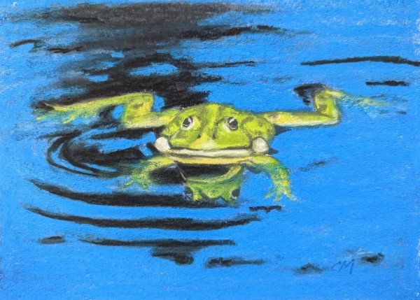 Floating frog by Carol Motsinger