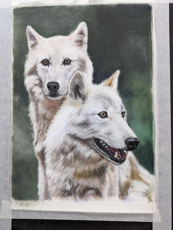 White wolves by Carol Motsinger
