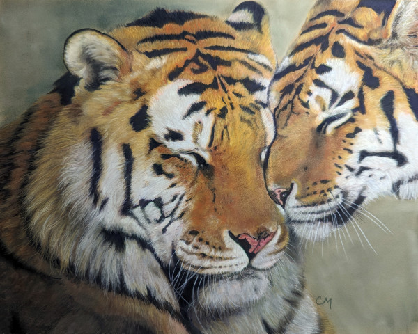 tigers tender moment by Carol Motsinger