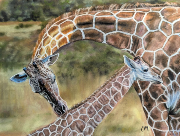 Giraffe and calf by Carol Motsinger
