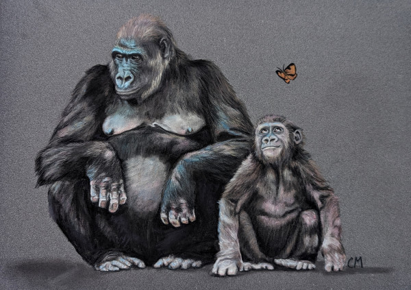 gorillas- in the eye of the beholder by Carol Motsinger
