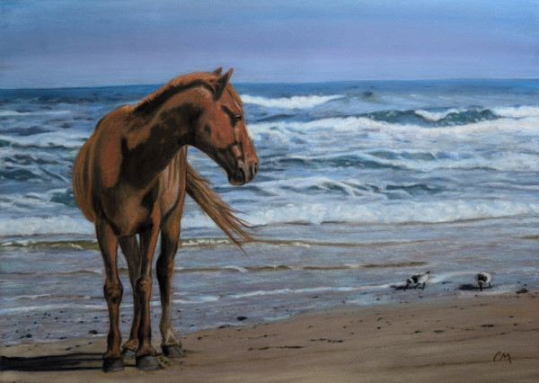 serenity by the seashore by Carol Motsinger