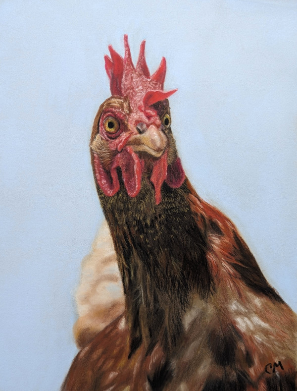 little red hen by Carol Motsinger