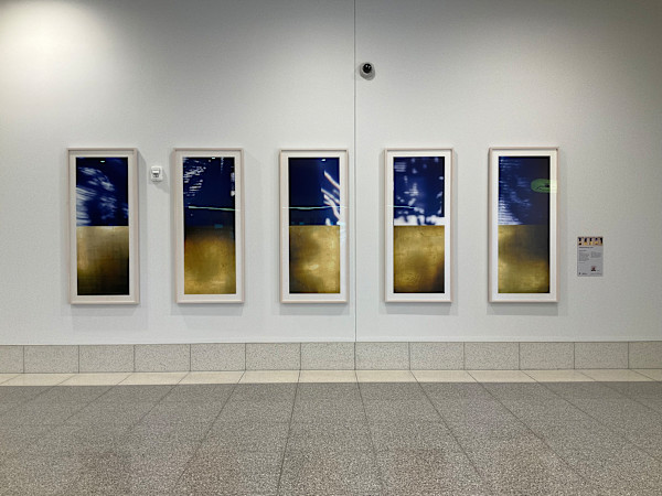 SuperSymmetry by Michael Morrill, Image 2.