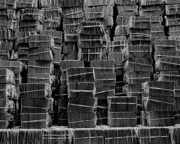 $7 Million by Abelardo Morell