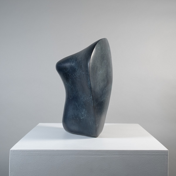 Energetic Body—Bronze by Xavier Allen, Image 2.
