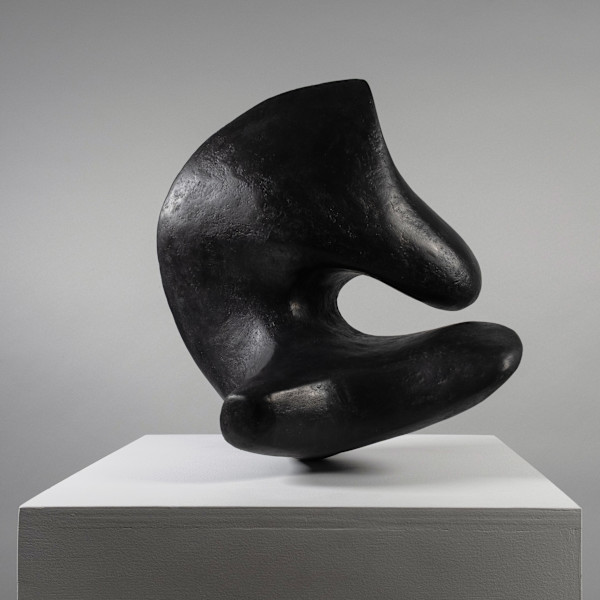 Torsion Wave by Xavier Allen, Image 3.