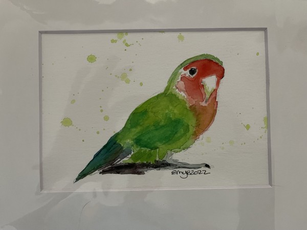 Orange and Green Parrot by Eileen Backman