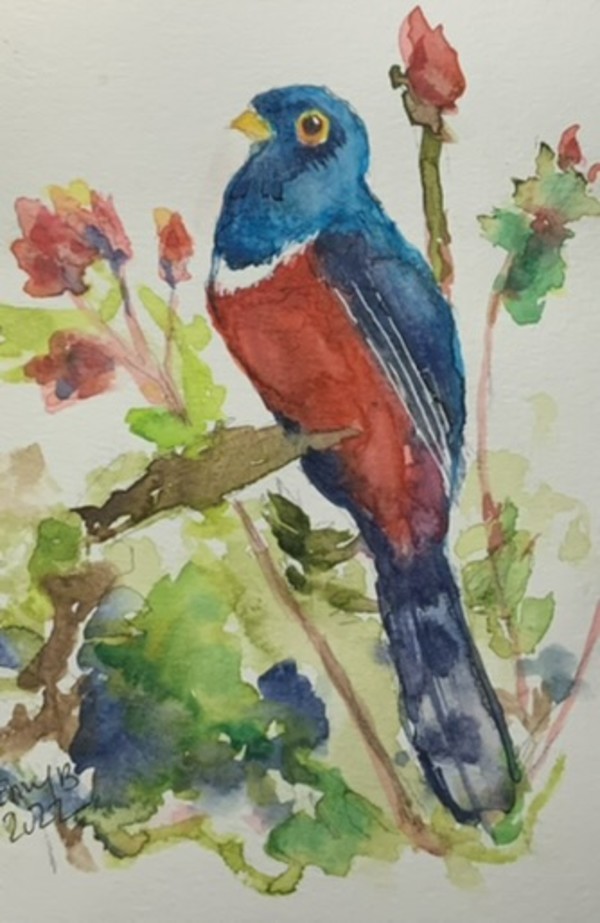Spring Bird # 7 by Eileen Backman
