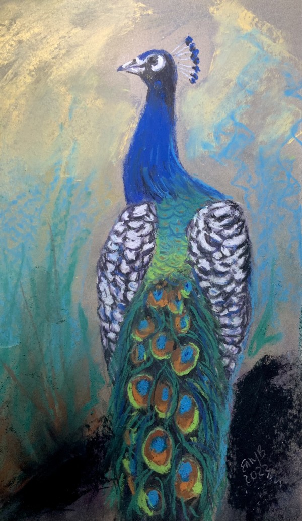 Pastel Peacock by Eileen Backman