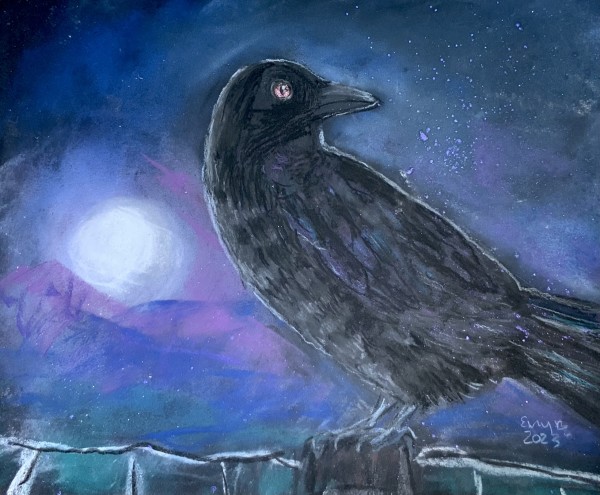 Night Crow in Pastel by Eileen Backman
