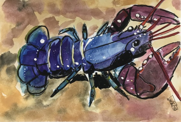 Mr. Lobster by Eileen Backman