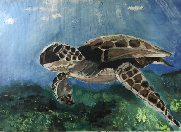 Sunlit Sea Turtle by Eileen Backman