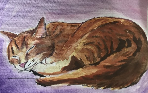 Sleepy Kitty by Eileen Backman